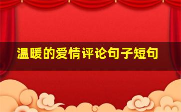 温暖的爱情评论句子短句