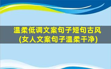 温柔低调文案句子短句古风(女人文案句子温柔干净)