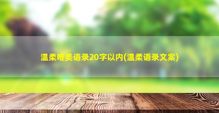 温柔唯美语录20字以内(温柔语录文案)