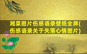 湘菜图片伤感语录壁纸全屏(伤感语录关于失落心情图片)