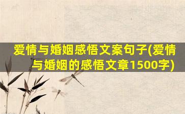 爱情与婚姻感悟文案句子(爱情与婚姻的感悟文章1500字)