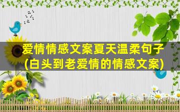 爱情情感文案夏天温柔句子(白头到老爱情的情感文案)