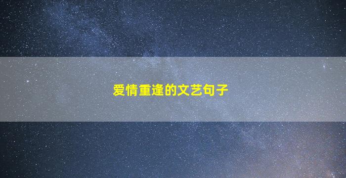 爱情重逢的文艺句子