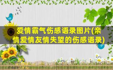 爱情霸气伤感语录图片(亲情爱情友情失望的伤感语录)