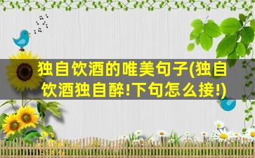 独自饮酒的唯美句子(独自饮酒独自醉!下句怎么接!)