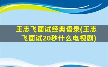 王志飞面试经典语录(王志飞面试20秒什么电视剧)