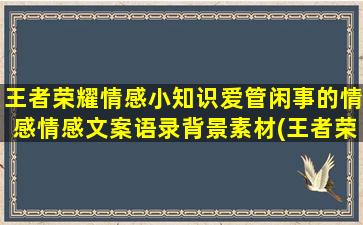 王者荣耀情感小知识爱管闲事的情感情感文案语录背景素材(王者荣耀情感ID)