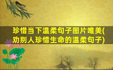 珍惜当下温柔句子图片唯美(劝别人珍惜生命的温柔句子)