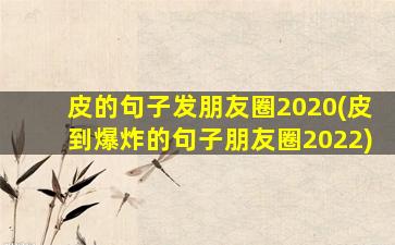 皮的句子发朋友圈2020(皮到爆炸的句子朋友圈2022)