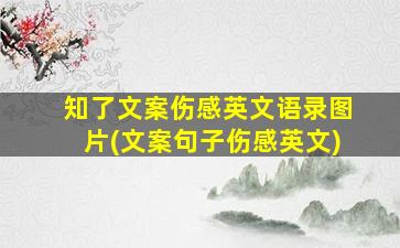 知了文案伤感英文语录图片(文案句子伤感英文)