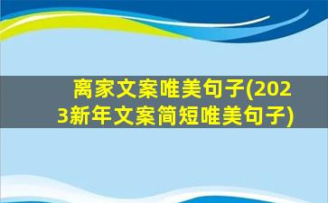 离家文案唯美句子(2023新年文案简短唯美句子)