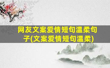 网友文案爱情短句温柔句子(文案爱情短句温柔)