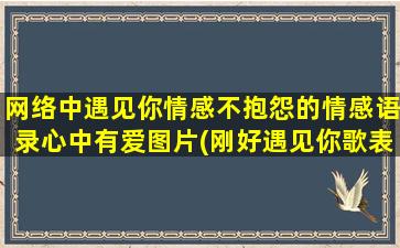 网络中遇见你情感不抱怨的情感语录心中有爱图片(刚好遇见你歌表达的情感)