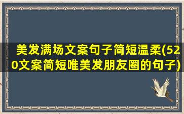 美发满场文案句子简短温柔(520文案简短唯美发朋友圈的句子)