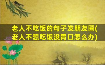 老人不吃饭的句子发朋友圈(老人不想吃饭没胃口怎么办)