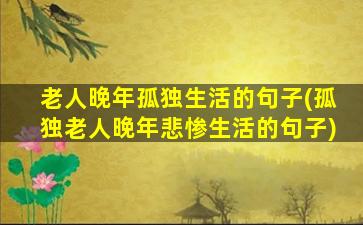 老人晚年孤独生活的句子(孤独老人晚年悲惨生活的句子)