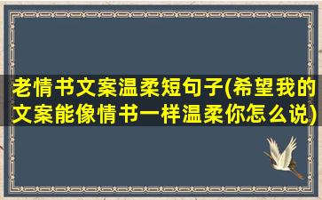 老情书文案温柔短句子(希望我的文案能像情书一样温柔你怎么说)