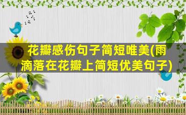 花瓣感伤句子简短唯美(雨滴落在花瓣上简短优美句子)