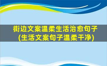 街边文案温柔生活治愈句子(生活文案句子温柔干净)