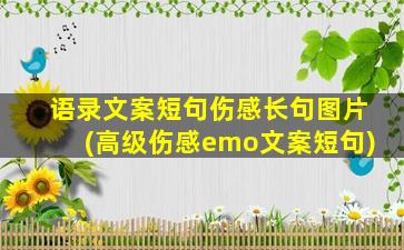 语录文案短句伤感长句图片(高级伤感emo文案短句)