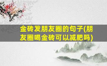 金砖发朋友圈的句子(朋友圈喝金砖可以减肥吗)