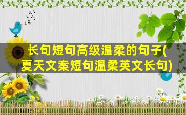 长句短句高级温柔的句子(夏天文案短句温柔英文长句)