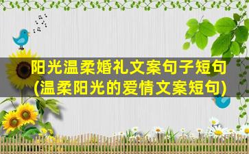 阳光温柔婚礼文案句子短句(温柔阳光的爱情文案短句)