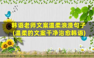 韩语老师文案温柔浪漫句子(温柔的文案干净治愈韩语)