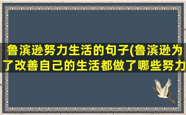 鲁滨逊努力生活的句子(鲁滨逊为了改善自己的生活都做了哪些努力)